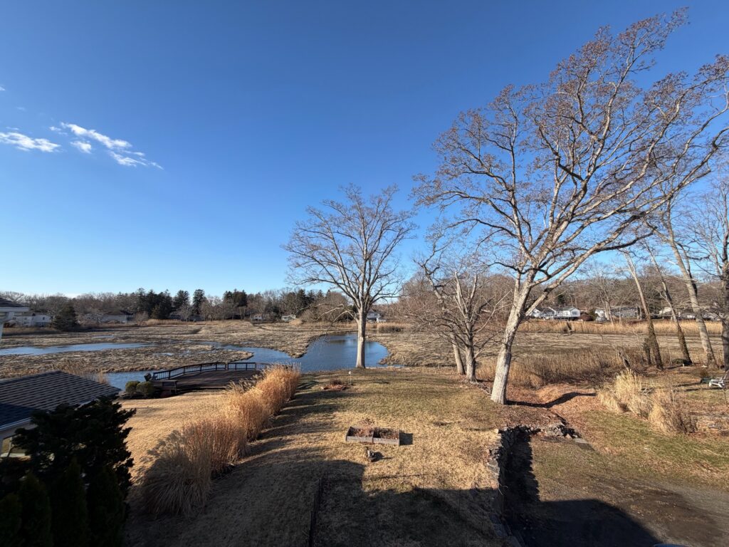 a field with trees and a body of water in the distance (MyCoast AI)