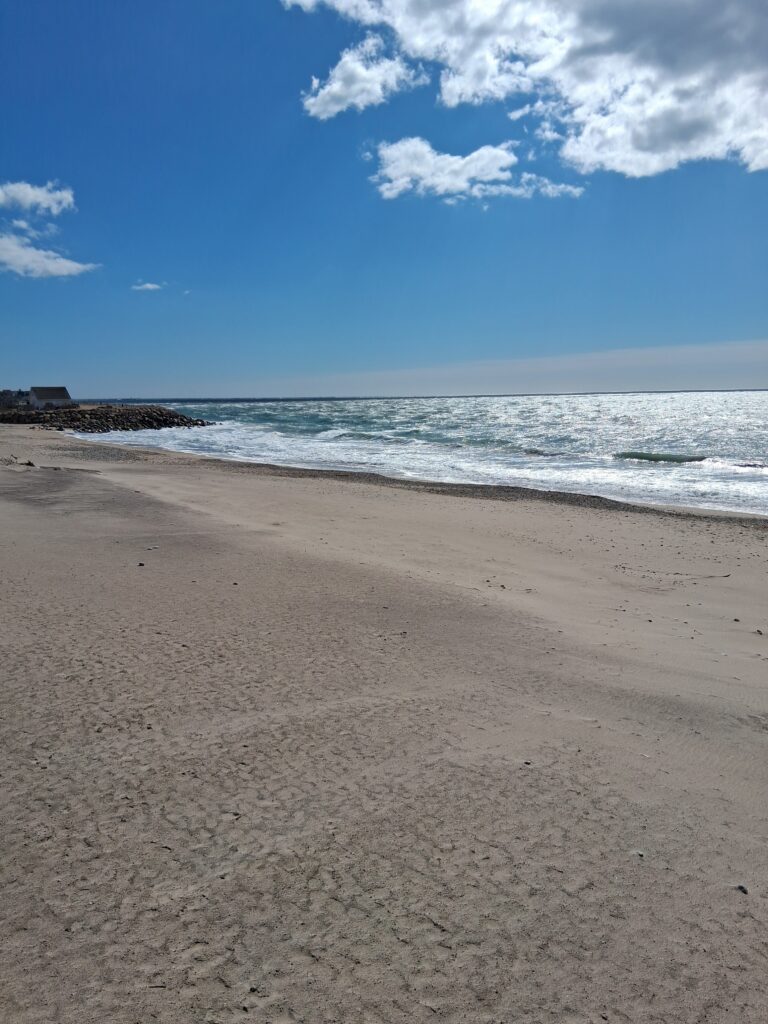 a sandy beach with waves crashing on it (MyCoast AI)