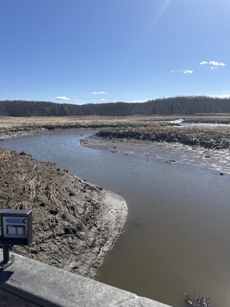 a river with a sign on the side (MyCoast AI)