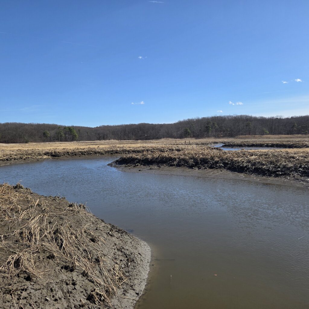 a river with a sandy bank and trees in the background (MyCoast AI)