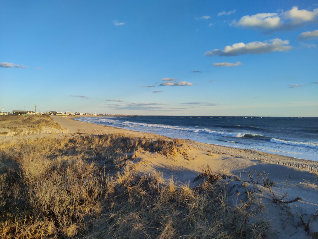 a beach with sand and grass (MyCoast AI)