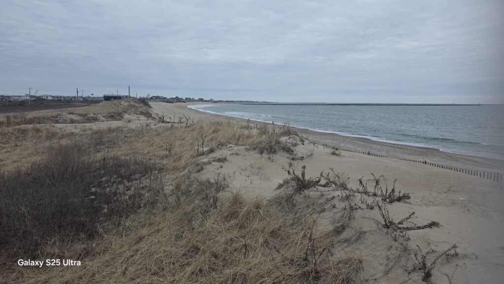 a beach with sand and grass (MyCoast AI)