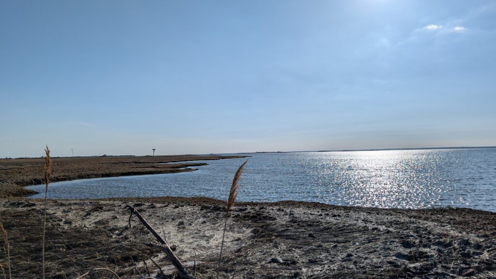 a beach with a body of water in the background (MyCoast AI)