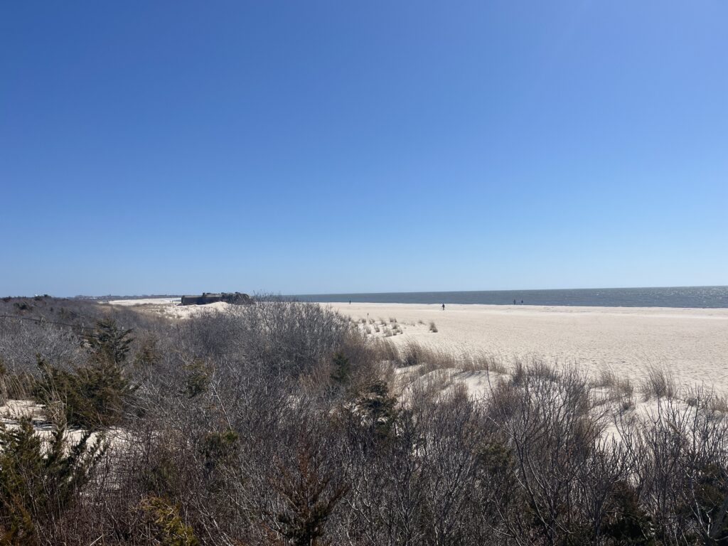 a field of dry grass (MyCoast AI)