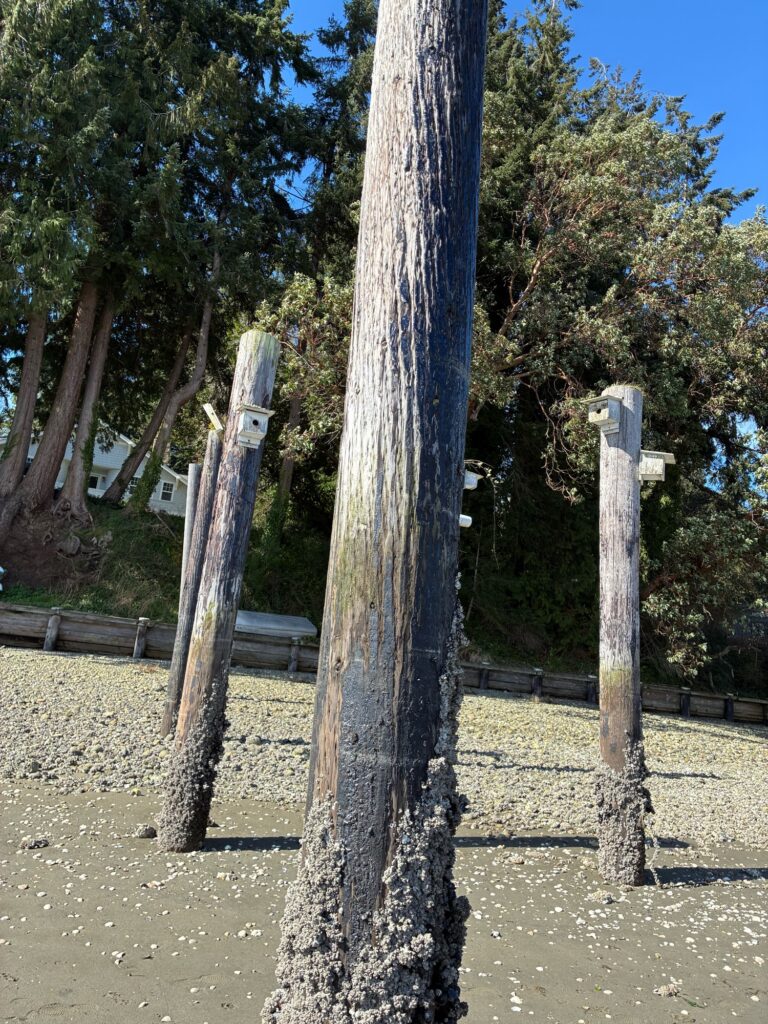 a group of wooden poles with signs on them (MyCoast AI)