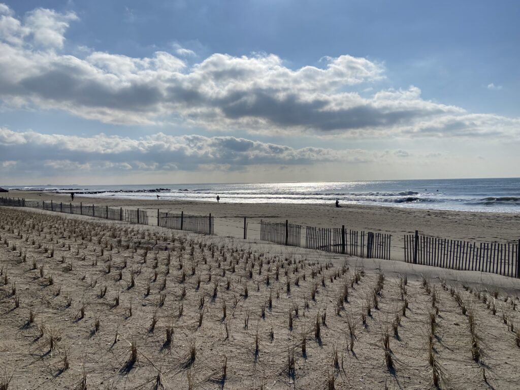 a beach with a fence and a body of water in the background (MyCoast AI)