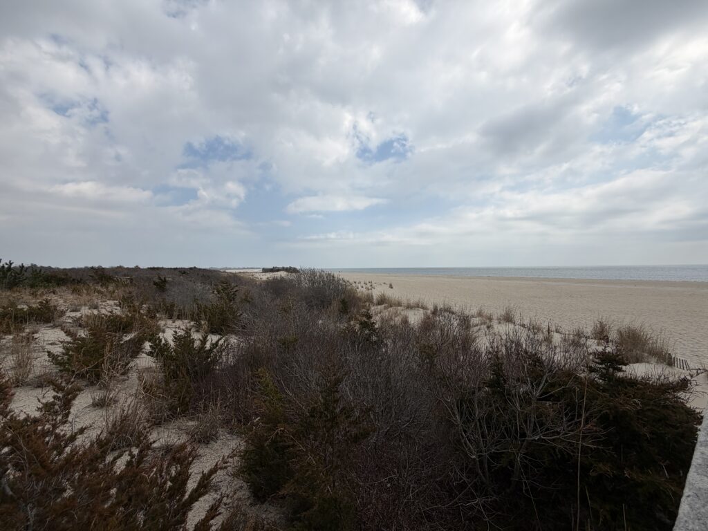 a landscape with bushes and trees (MyCoast AI)