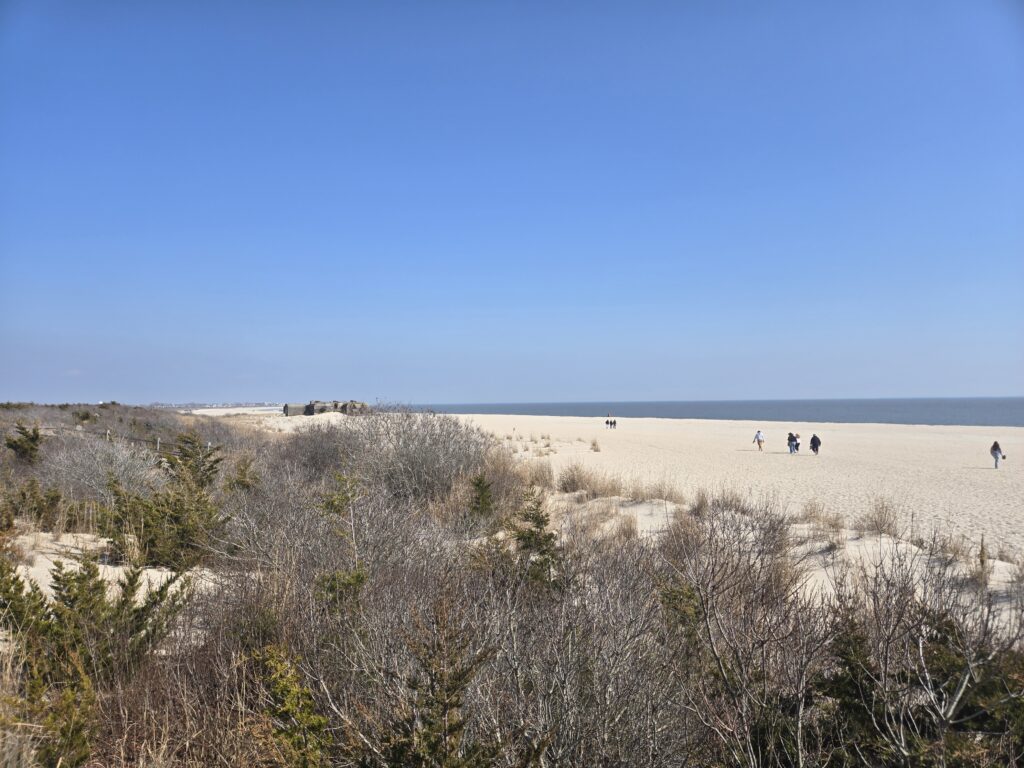 a group of people walking in a field (MyCoast AI)