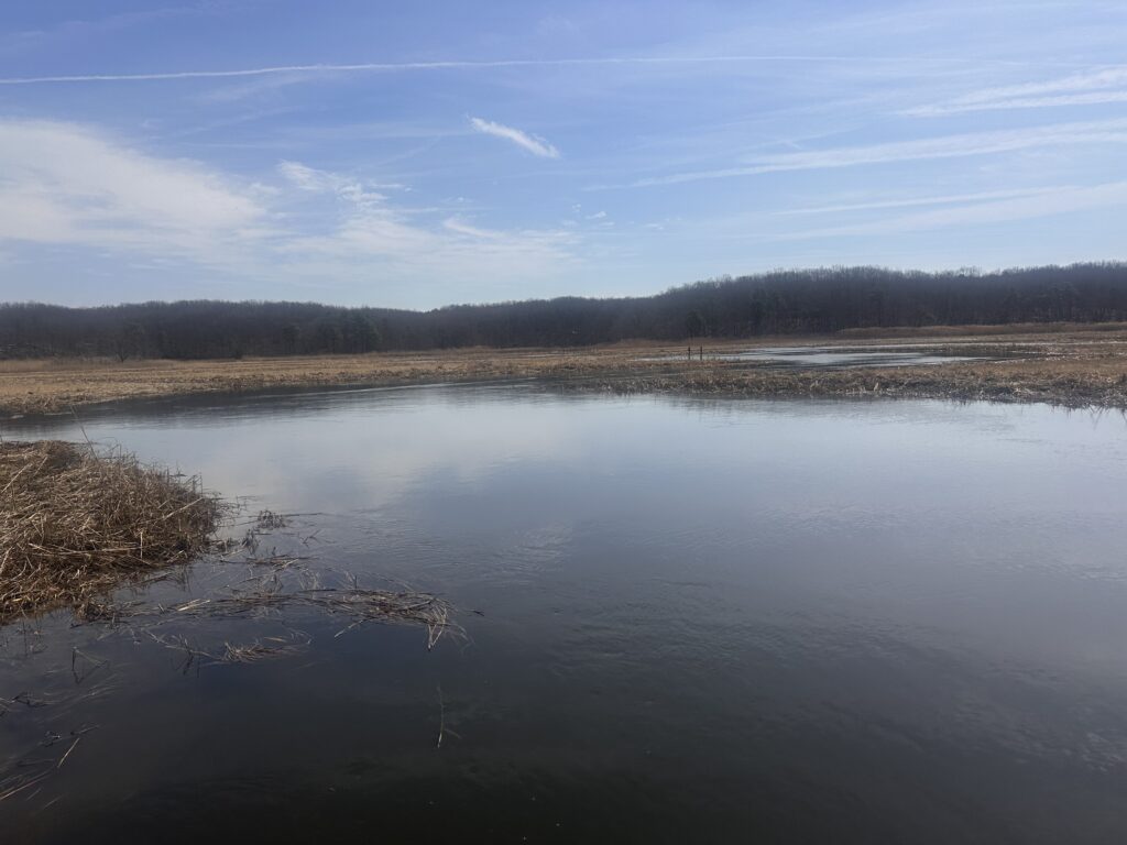 a lake with trees in the background (MyCoast AI)