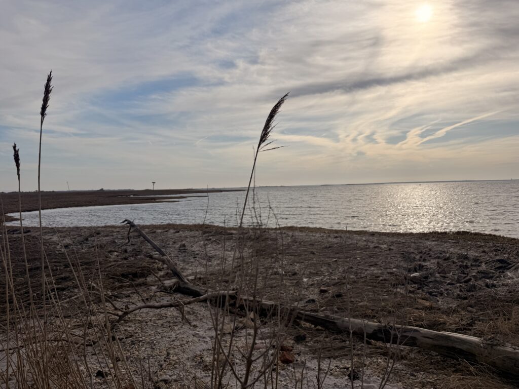 a beach with a body of water in the background (MyCoast AI)