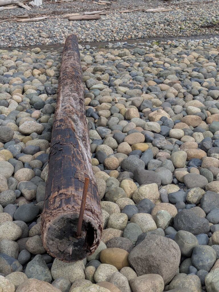 a stack of rocks (MyCoast AI)