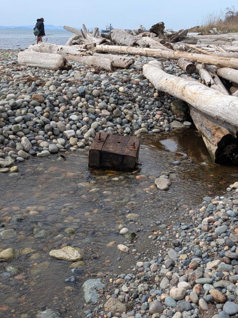a person walking on a rocky beach (MyCoast AI)