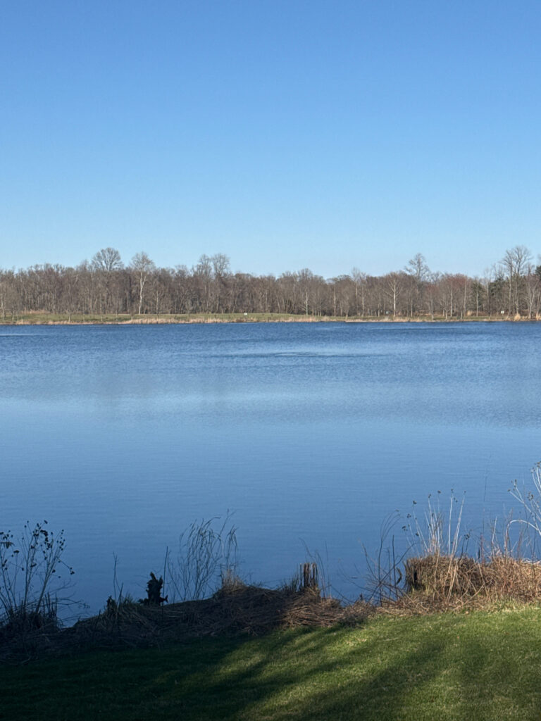 a body of water with grass and trees around it (MyCoast AI)