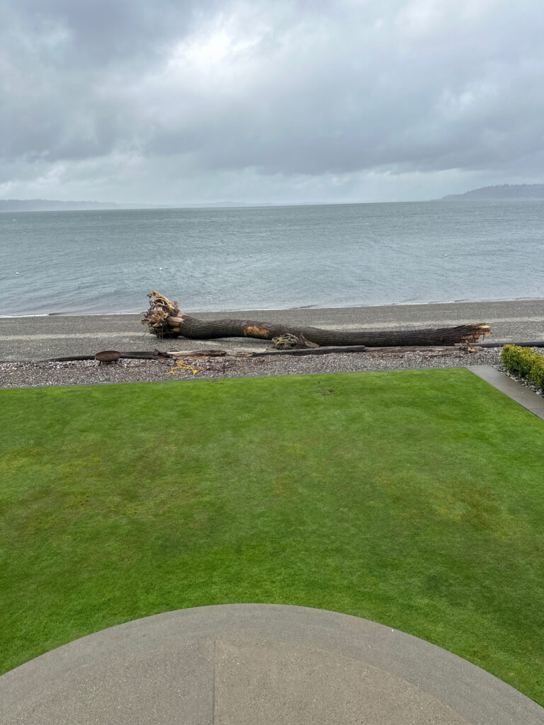a grassy area with a body of water in the background (MyCoast AI)