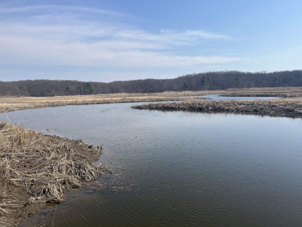 a body of water with grass and trees in the background (MyCoast AI)
