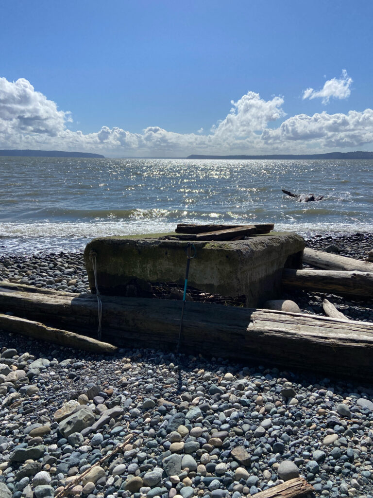 a rocky beach with a large body of water in the background (MyCoast AI)