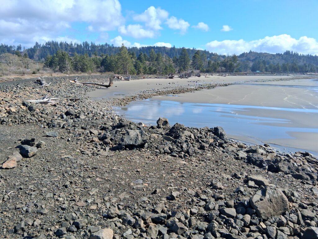 a rocky beach with a body of water and trees in the background (MyCoast AI)