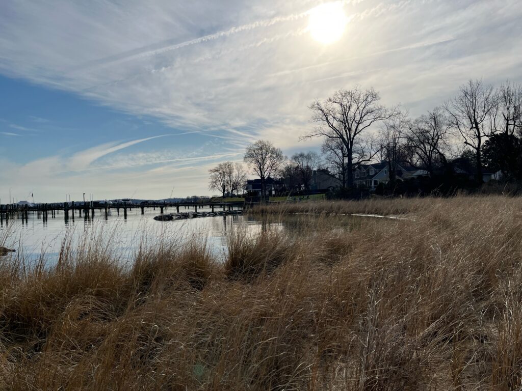 a body of water with grass and trees around it (MyCoast AI)