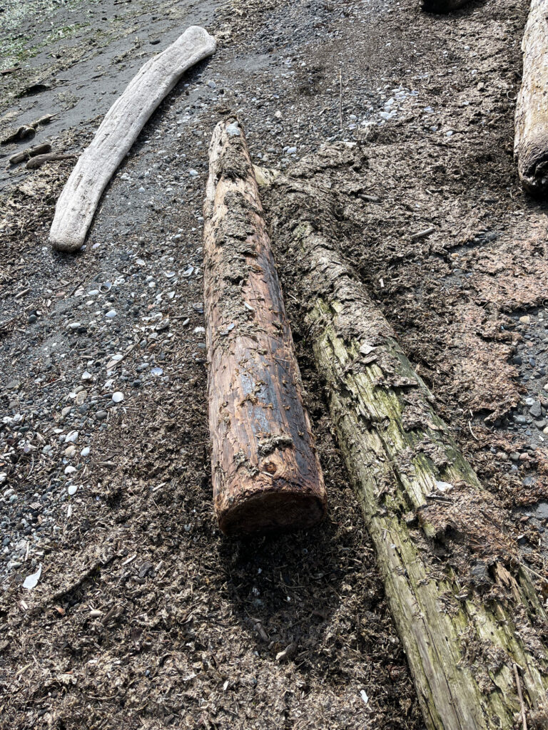 a group of wood pieces (MyCoast AI)