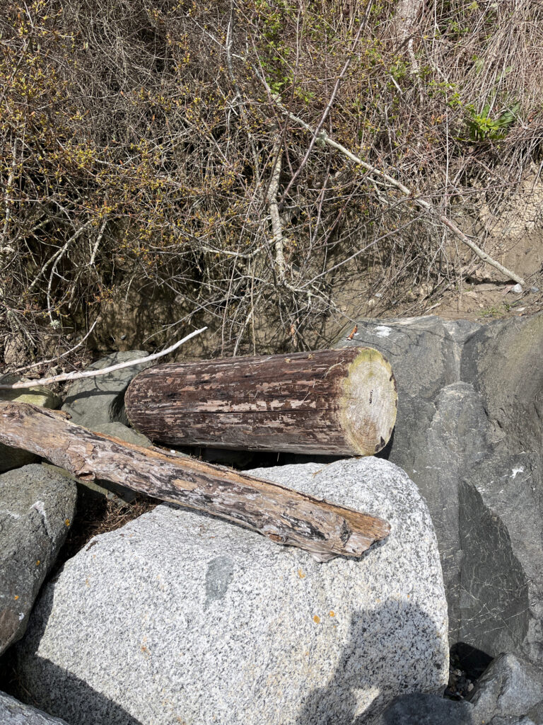 a wooden bench on a rock (MyCoast AI)