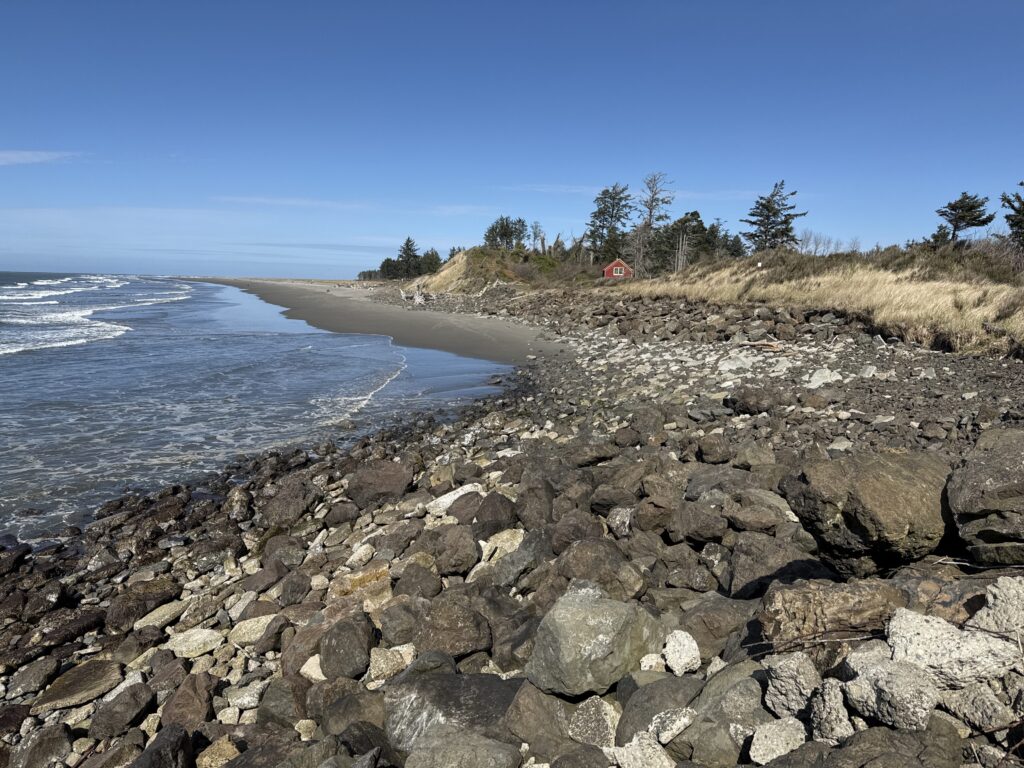 a rocky beach with trees and a body of water (MyCoast AI)