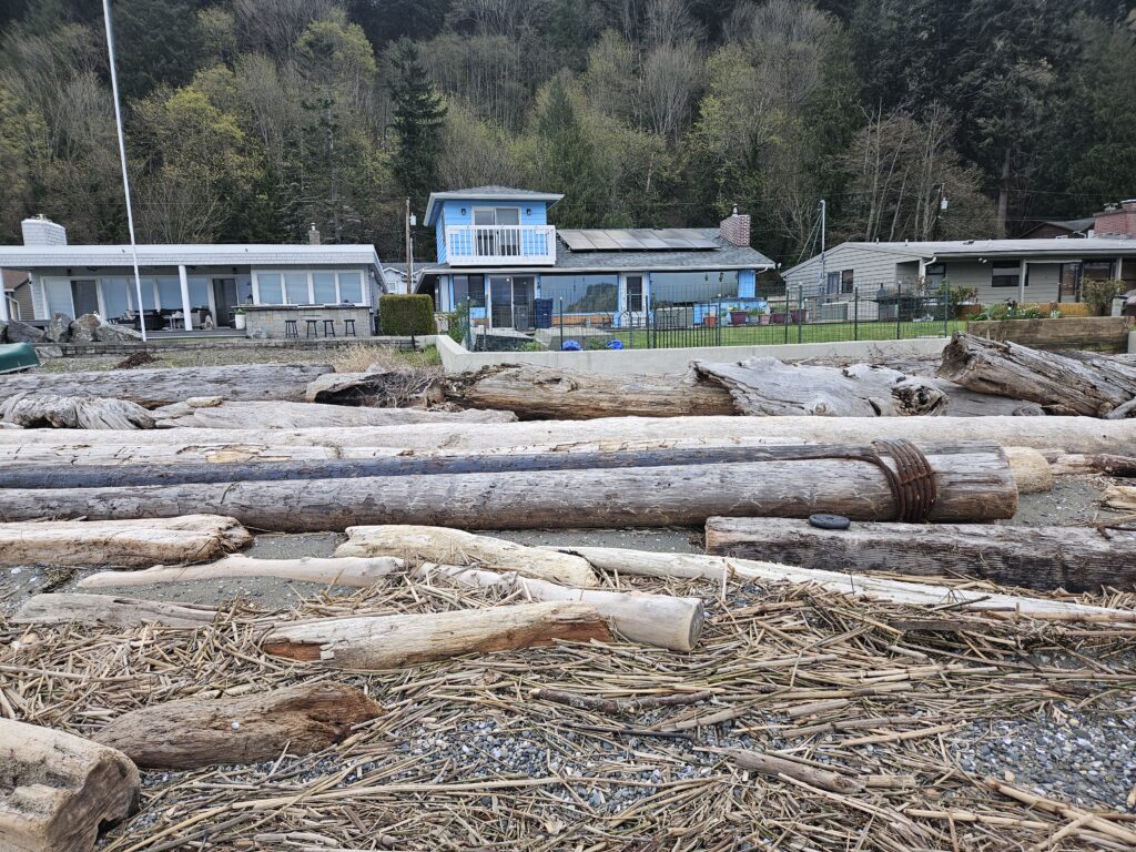 a pile of wood in front of a house (MyCoast AI)