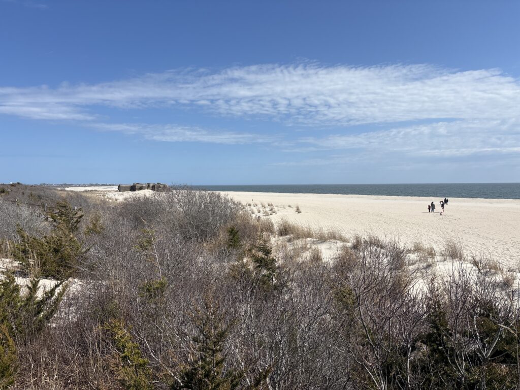 a group of people walking on a sandy beach (MyCoast AI)