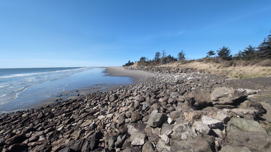 a rocky beach with trees and water (MyCoast AI)