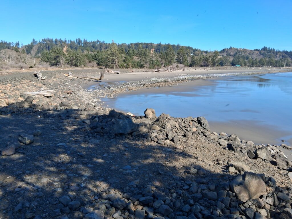 a rocky beach with trees in the background (MyCoast AI)