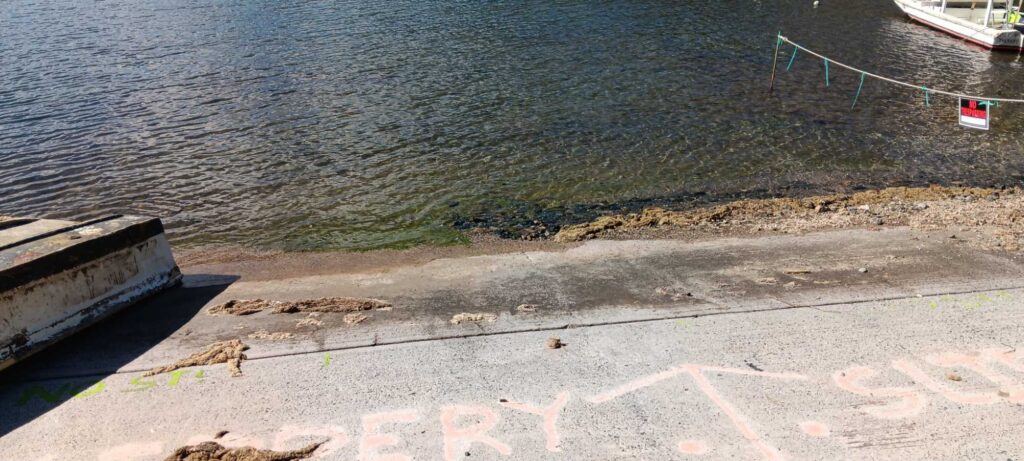 a concrete walkway next to a body of water (MyCoast AI)