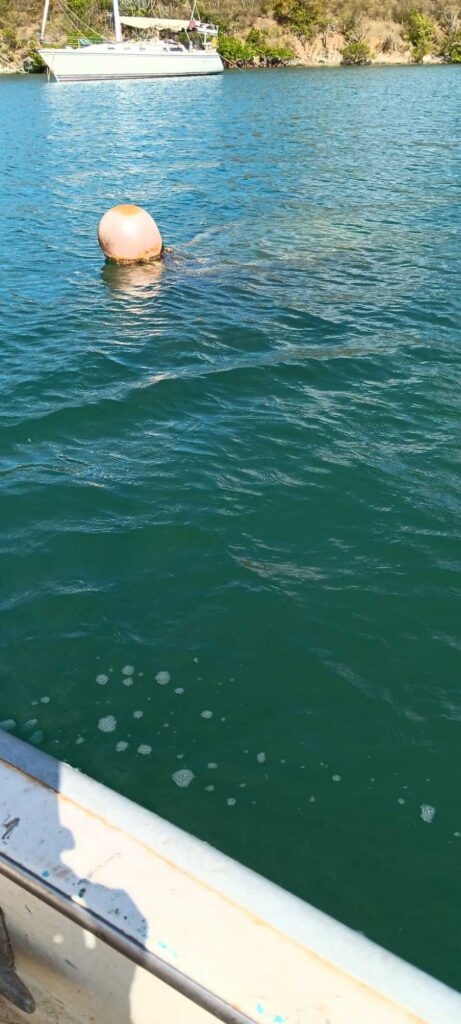 a boat in the water (MyCoast AI)