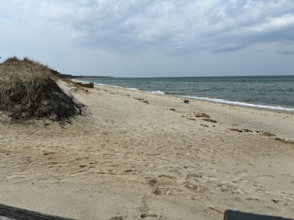a sandy beach with waves crashing on it (MyCoast AI)