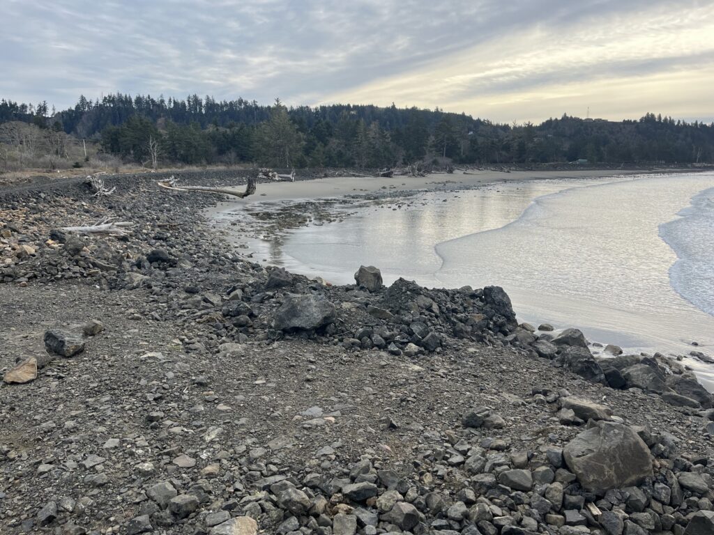 a rocky beach with a body of water and trees in the background (MyCoast AI)