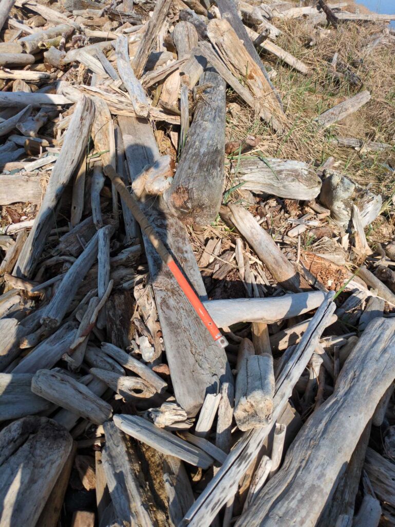 a pile of wood (MyCoast AI)