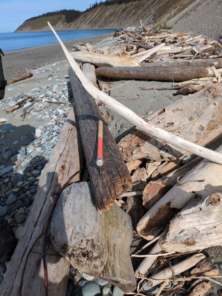 a pile of wood on a beach (MyCoast AI)