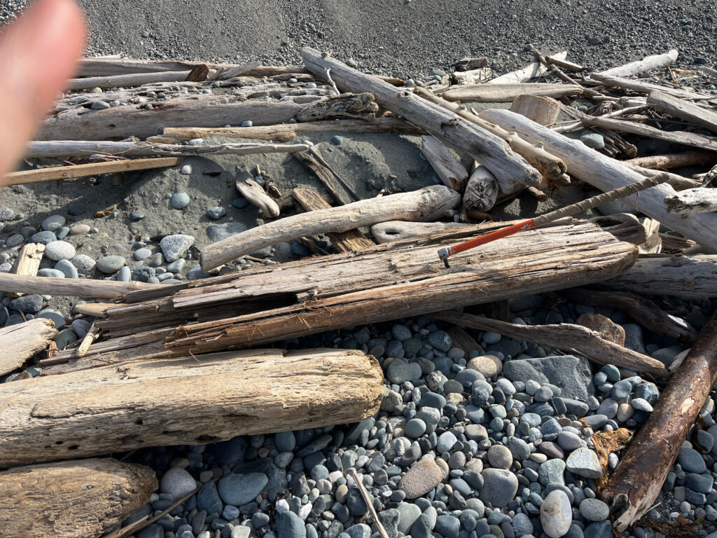 a pile of wood (MyCoast AI)