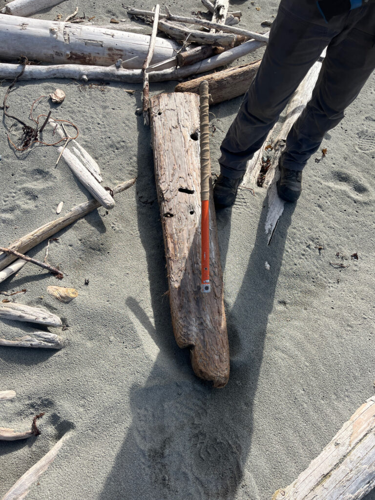 a man standing next to a pile of wood (MyCoast AI)