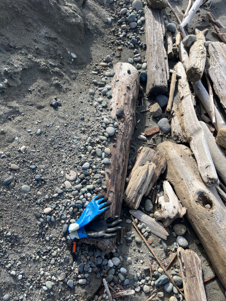 a pile of wood and rocks (MyCoast AI)