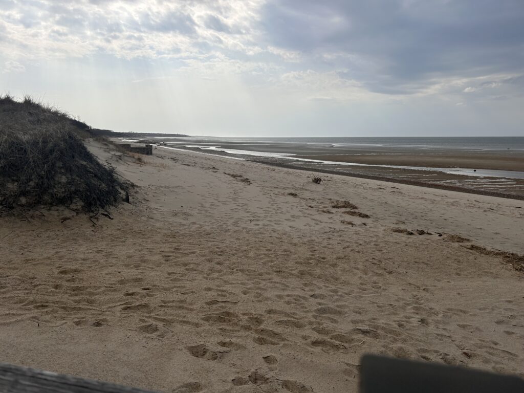 a sandy beach with a hill and water in the background (MyCoast AI)