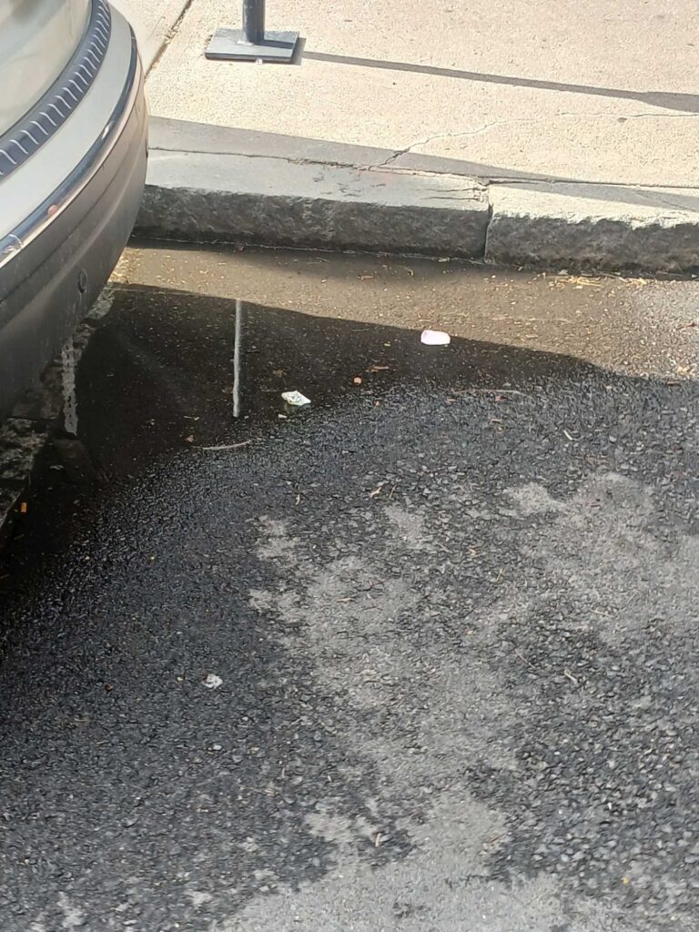 a car parked on the side of a road (MyCoast AI)