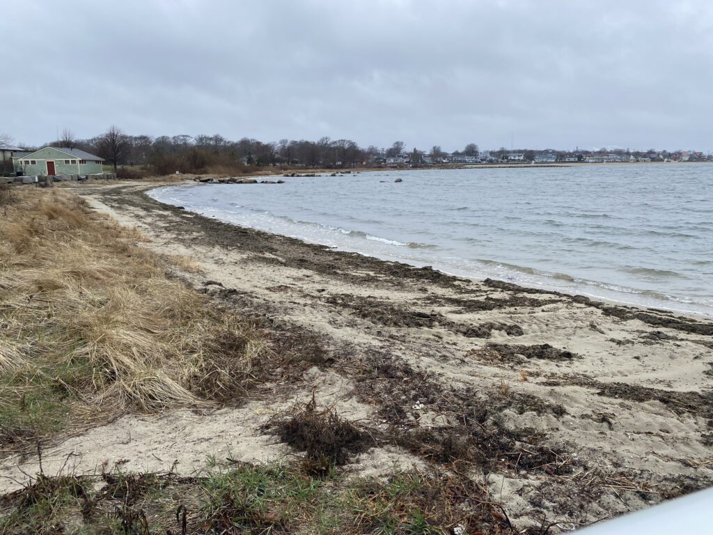 a beach with a body of water (MyCoast AI)