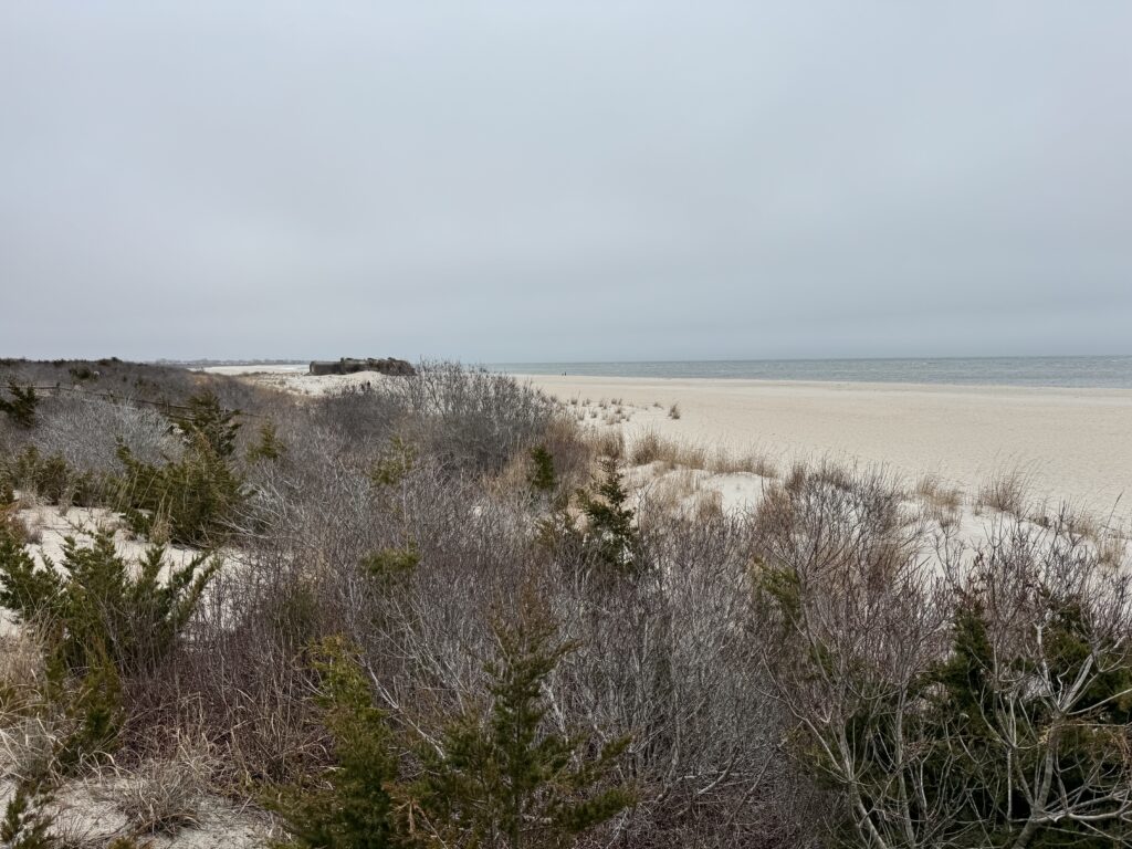 a sandy beach with bushes and trees (MyCoast AI)
