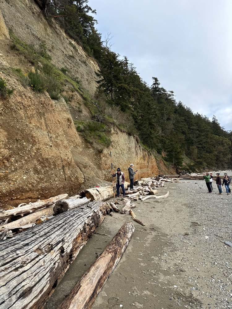 people standing on a rocky beach (MyCoast AI)