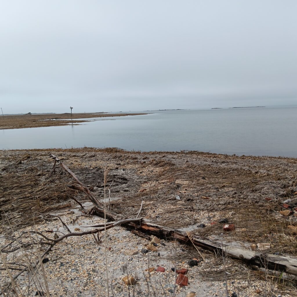a beach with a body of water in the background (MyCoast AI)