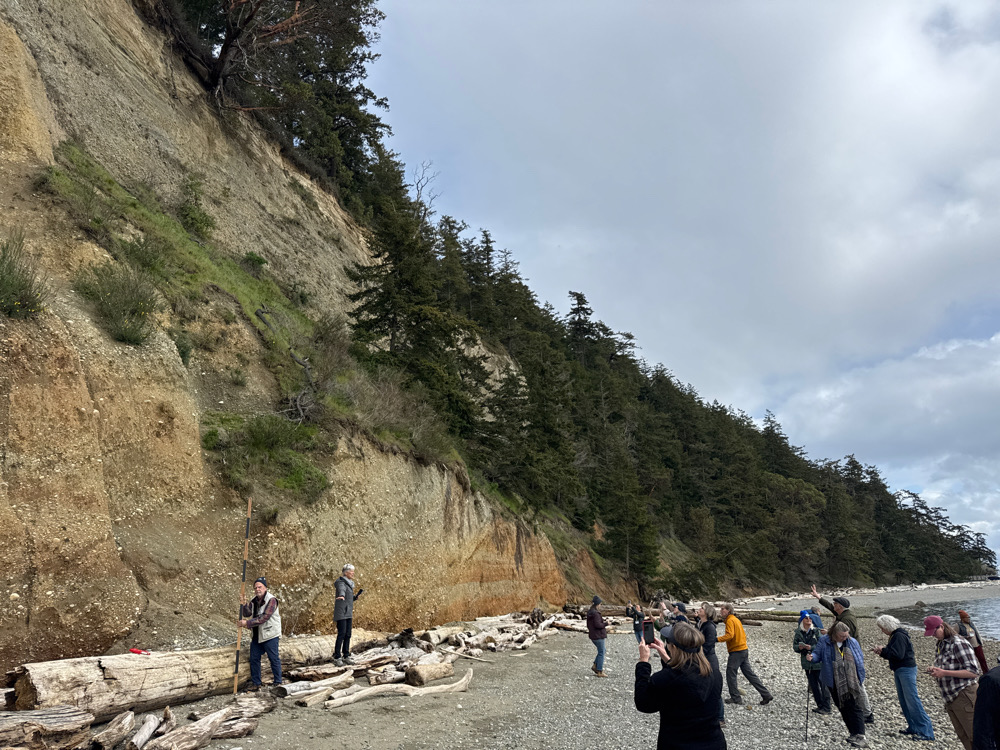a group of people on a beach (MyCoast AI)