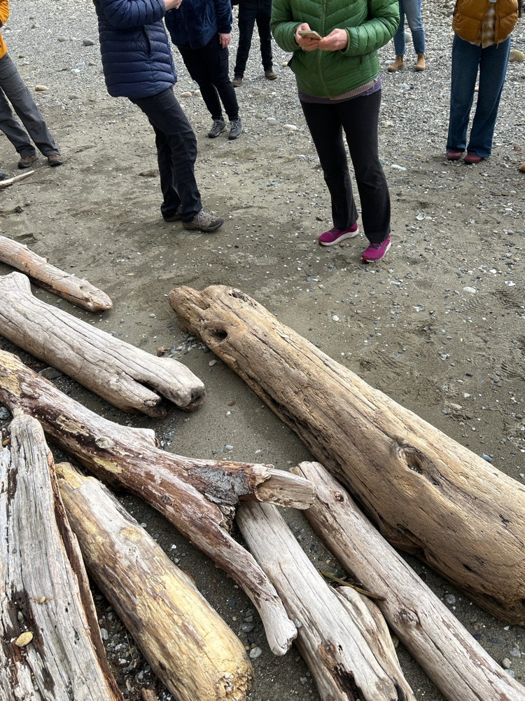 a group of people standing around a log (MyCoast AI)