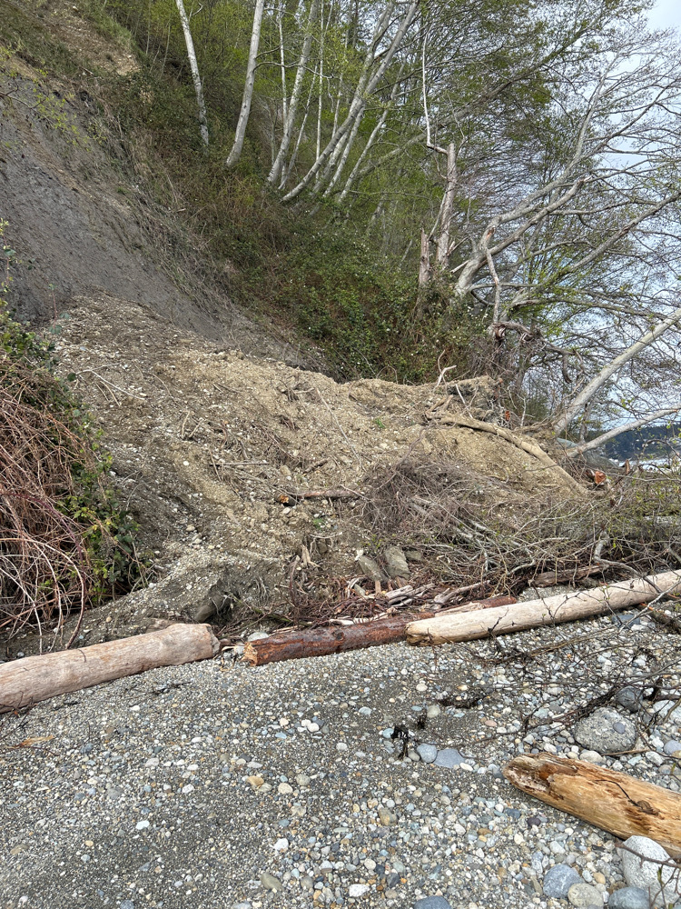 a pile of dirt and trees (MyCoast AI)