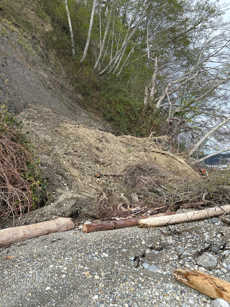 a pile of wood on a hillside (MyCoast AI)