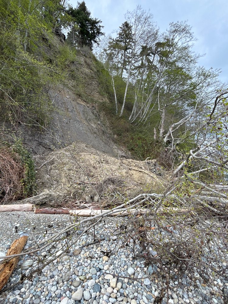 a rocky river bed (MyCoast AI)