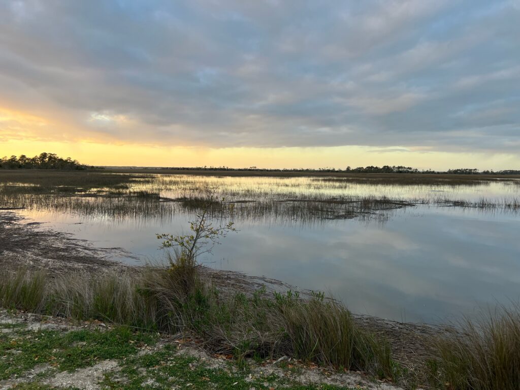 a body of water with grass and snow on the side (MyCoast AI)